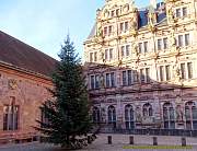 heidelberg25.jpg
